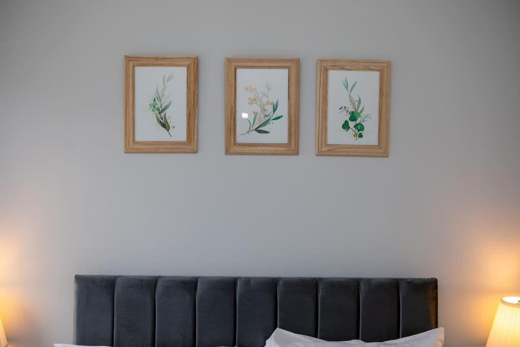 Modern Apartment Free Parking Double Bed Suite 5 Nottingham Exterior photo